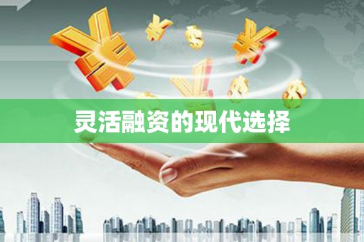 赫山灵活融资的现代选择