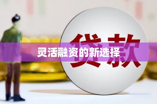 赫山灵活融资的新选择