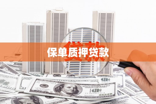 赫山保单质押贷款