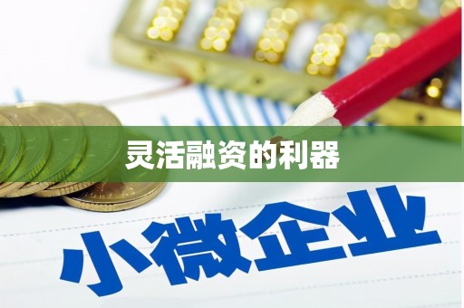 赫山灵活融资的利器