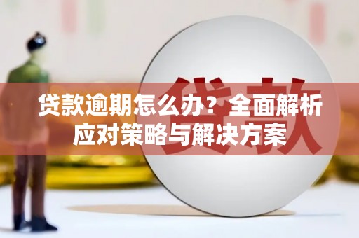 赫山贷款逾期怎么办？全面解析应对策略与解决方案