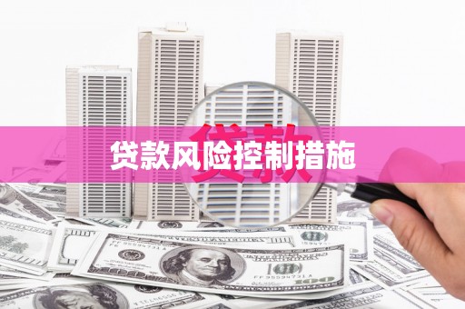 赫山贷款风险控制措施