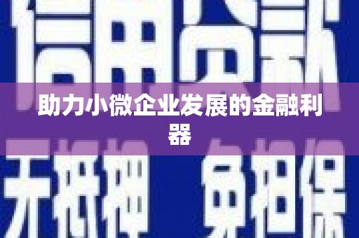 赫山助力小微企业发展的金融利器