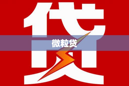 赫山微粒贷