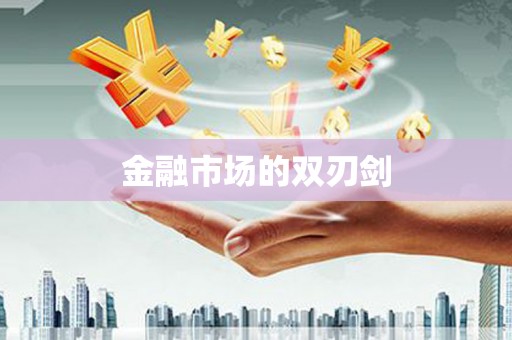 赫山金融市场的双刃剑