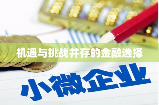 赫山机遇与挑战并存的金融选择