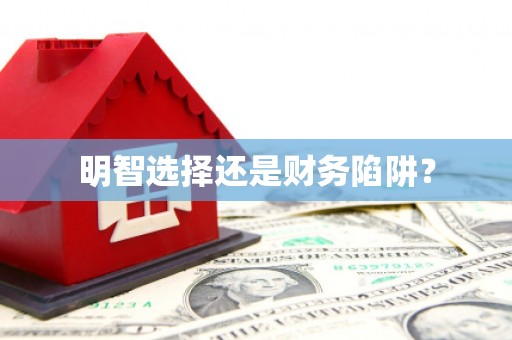 赫山明智选择还是财务陷阱？