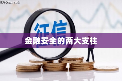 赫山金融安全的两大支柱