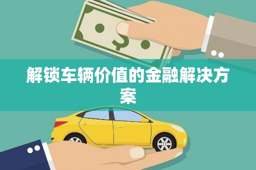赫山解锁车辆价值的金融解决方案