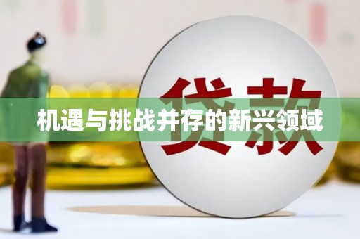 赫山机遇与挑战并存的新兴领域