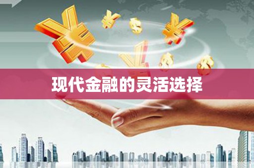 赫山现代金融的灵活选择