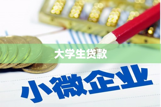 赫山大学生贷款