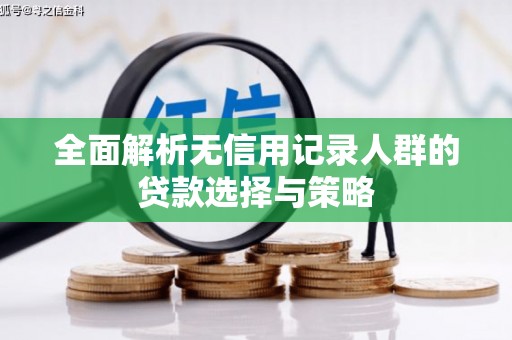 赫山全面解析无信用记录人群的贷款选择与策略