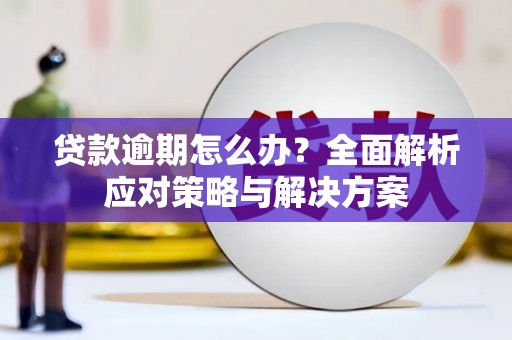 赫山贷款逾期怎么办？全面解析应对策略与解决方案