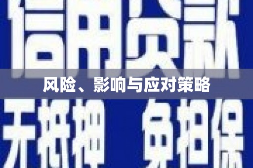 赫山风险、影响与应对策略