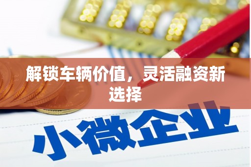 赫山解锁车辆价值，灵活融资新选择