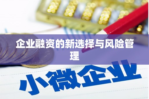 赫山企业融资的新选择与风险管理