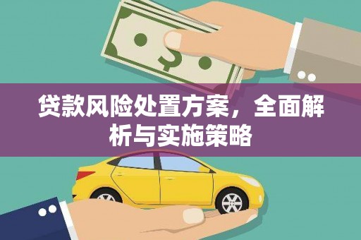 赫山贷款风险处置方案，全面解析与实施策略