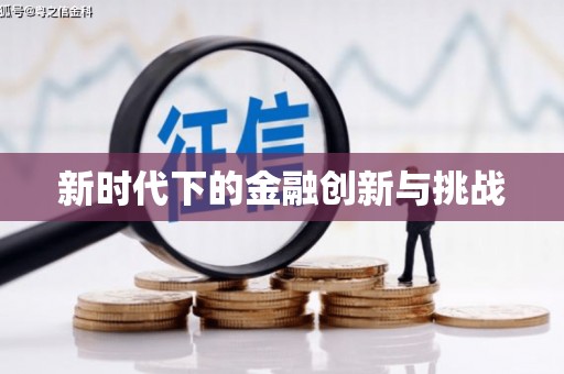赫山新时代下的金融创新与挑战