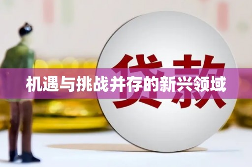 赫山机遇与挑战并存的新兴领域