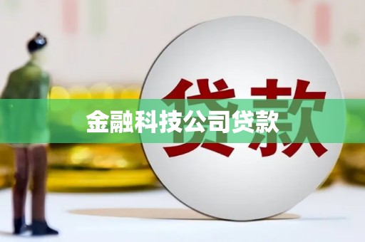 赫山金融科技公司贷款