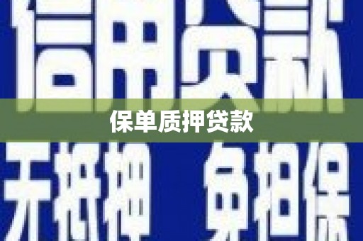 赫山保单质押贷款