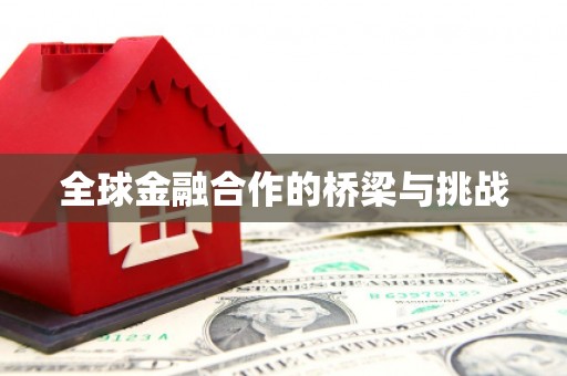 赫山全球金融合作的桥梁与挑战