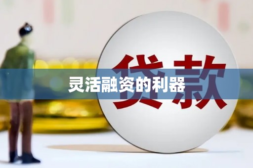 赫山灵活融资的利器