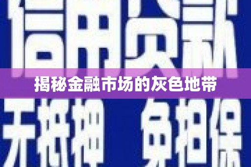 赫山揭秘金融市场的灰色地带