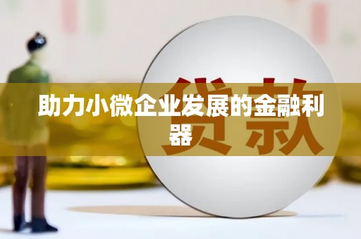 赫山助力小微企业发展的金融利器