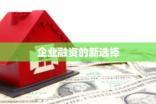 赫山企业融资的新选择