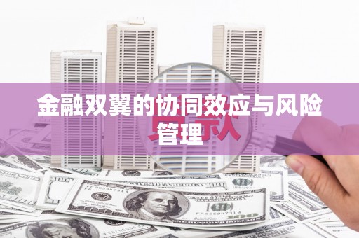 赫山金融双翼的协同效应与风险管理