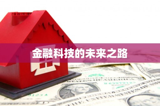 赫山金融科技的未来之路