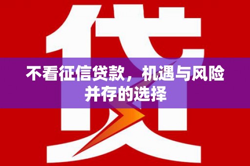 赫山不看征信贷款，机遇与风险并存的选择