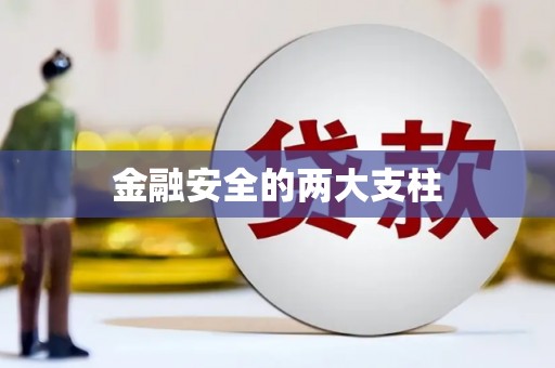 赫山金融安全的两大支柱
