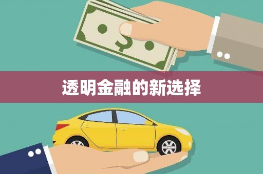 赫山透明金融的新选择
