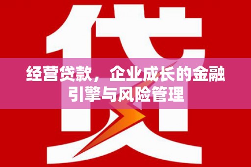 赫山经营贷款，企业成长的金融引擎与风险管理