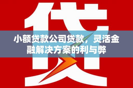 赫山小额贷款公司贷款，灵活金融解决方案的利与弊