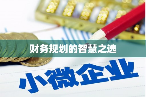 赫山财务规划的智慧之选