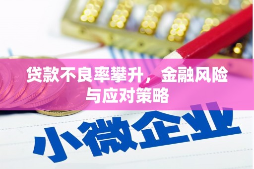 赫山贷款不良率攀升，金融风险与应对策略