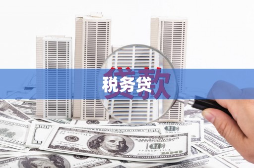 赫山税务贷